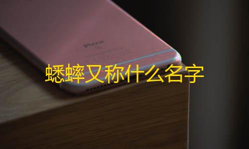 三角洲手游辅助科技蟋蟀又称什么名字